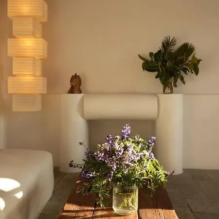 Villa With Pool, Garden And View Naousa (Paros)