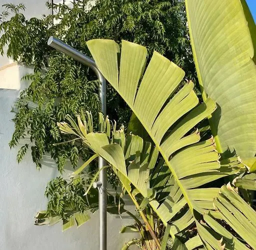 Βίλα With Pool, Garden And View